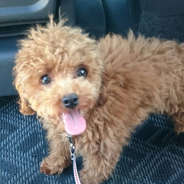 7748e963 b4c0 43e0 bd88 76e520f40e19