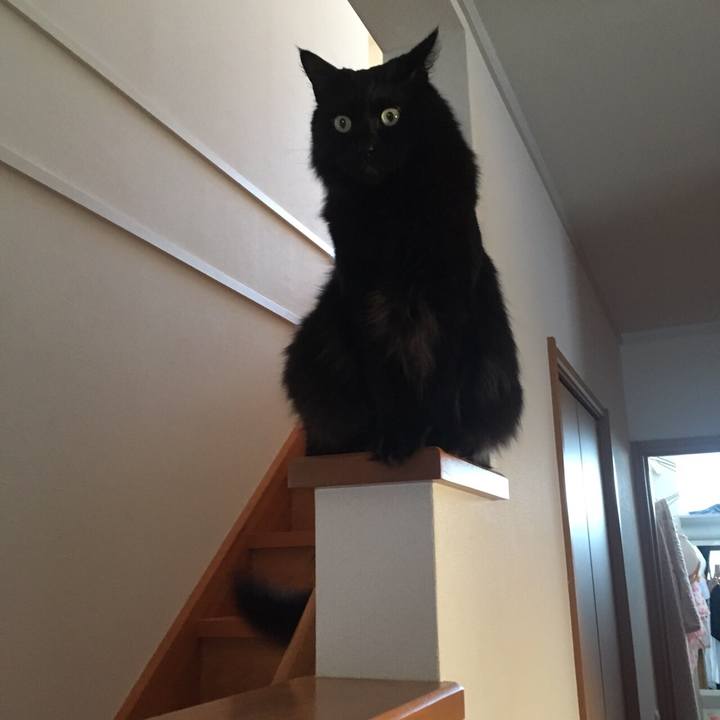 774aba7d 5887 4a57 a952 d54da10bc916