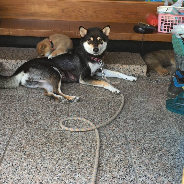 774ad4b3 bcf9 433b b600 06aa1044031f