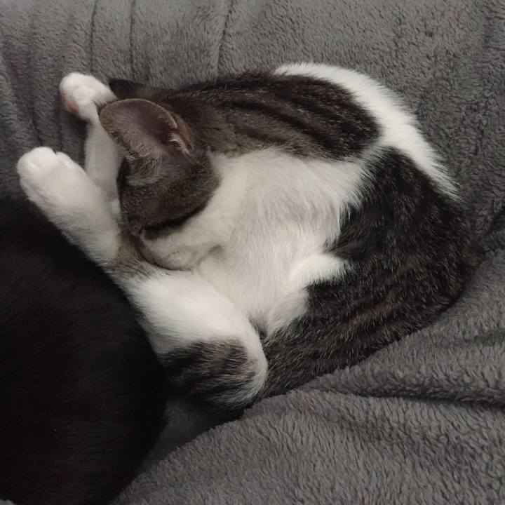 774b1e41 1fc5 4cde 8c99 ac4eaaaebe52