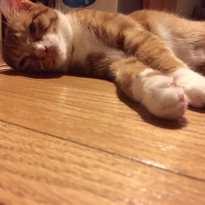 774bbe03 4caf 4f43 a74c 671c5a6f99df