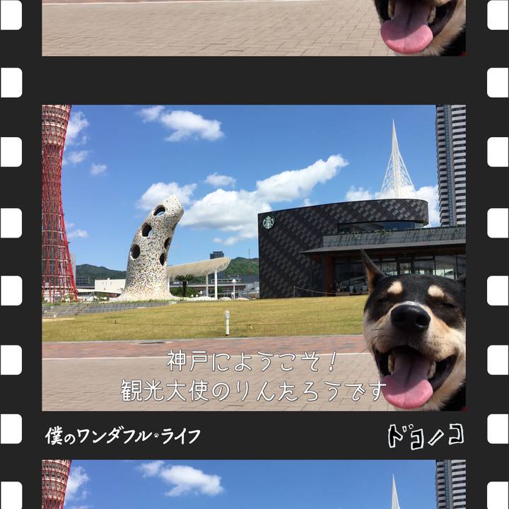 774bd6f6 64a9 43c1 b193 903c868dd3ab