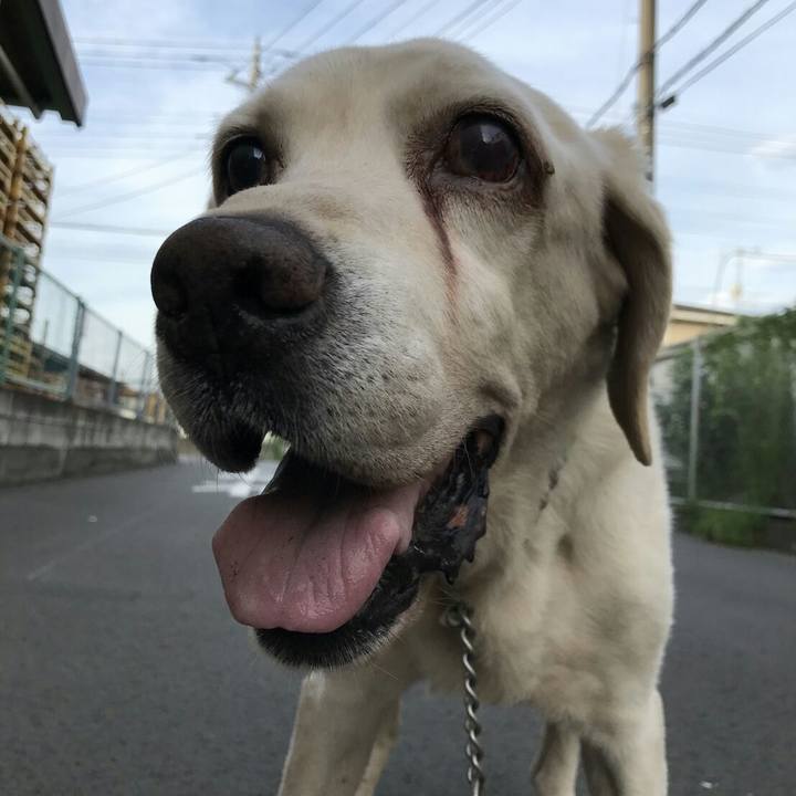 774c2a0e 2cbe 45c2 8a9e 85f53fe8eb7e