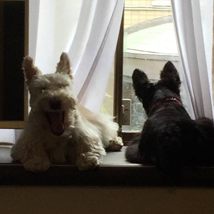 774c447b 2a67 4071 b7ea 98b6d59a6317