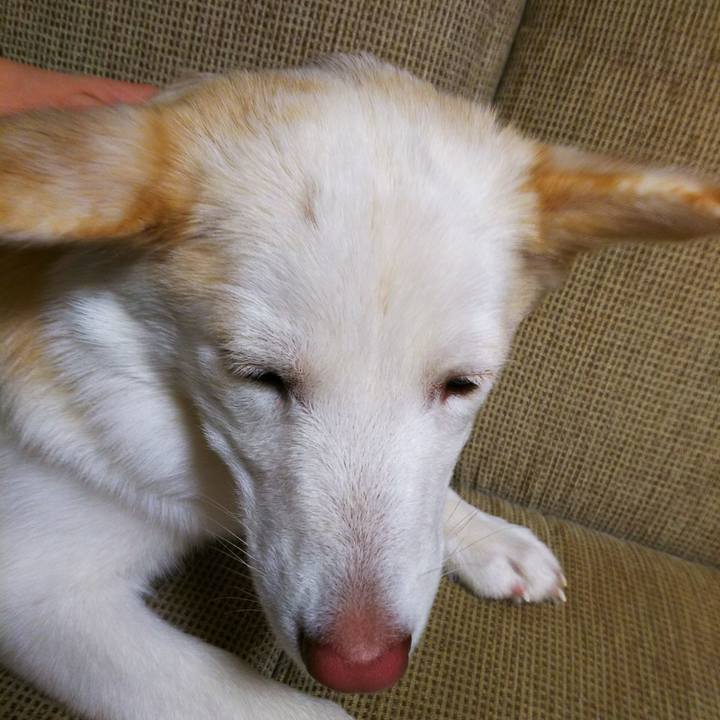 774c77f8 93db 416d 8e18 1a348a0d0388