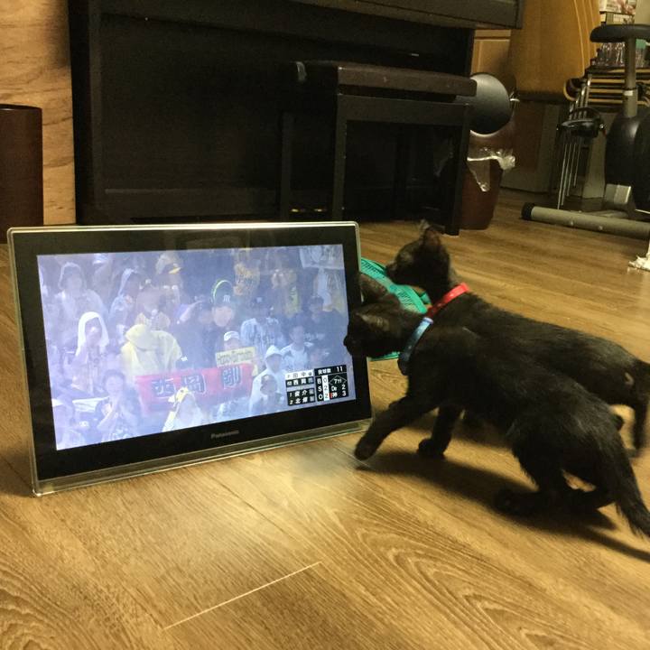 774ce01d 8c14 4adb 8385 984d63cedcae