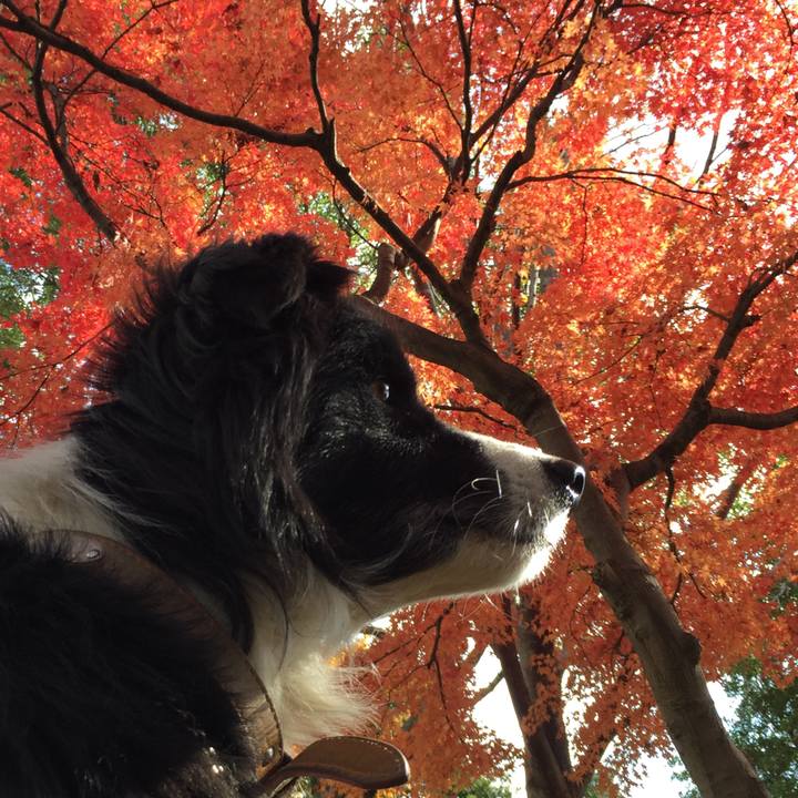 774d13dc 6458 47e7 bad4 d8dcbd7c4dd9