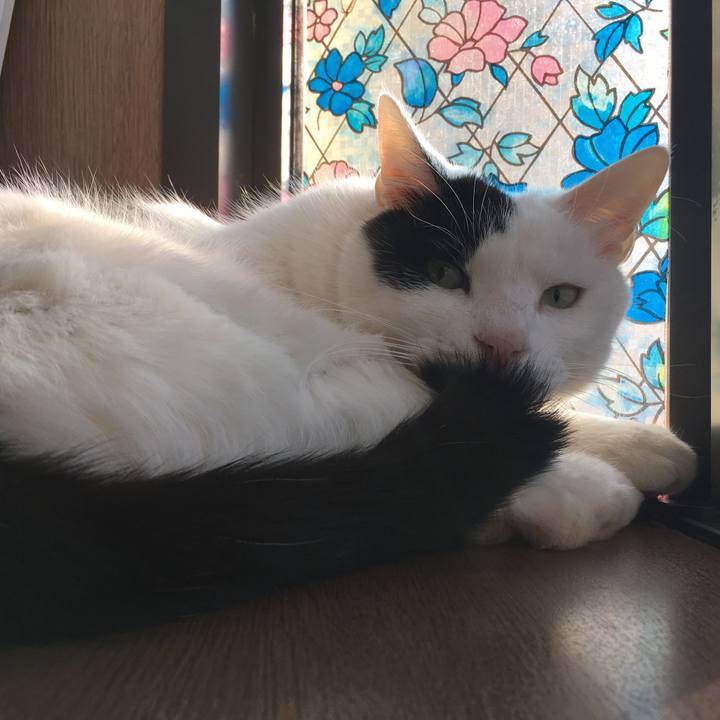 774d1416 793e 4b1d 8bc2 4cff92731789