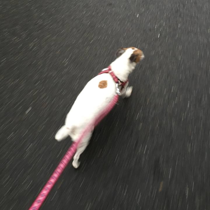 774d5307 84d4 48b3 96d8 0571e2bf7ff8