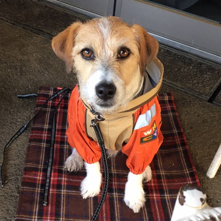 774db433 3ce4 4933 97a3 cf8052891643