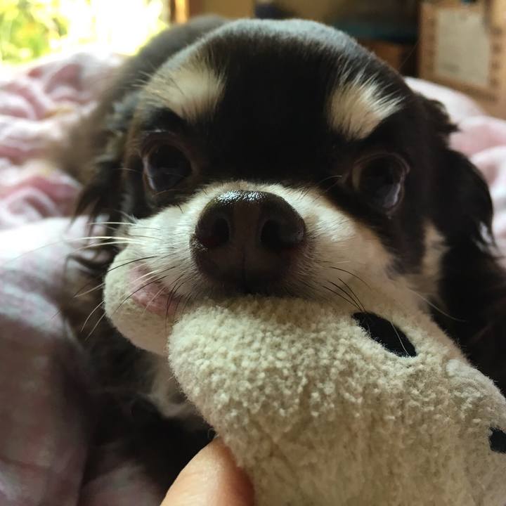 774df624 b578 4f5f b4d8 4bdc8e60e61d