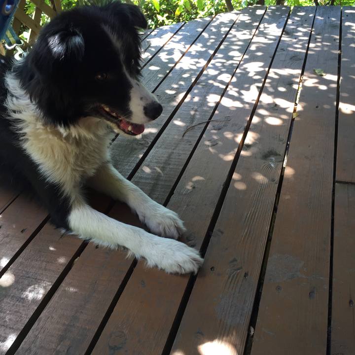 774e0563 1011 4612 ac77 cf694323c961