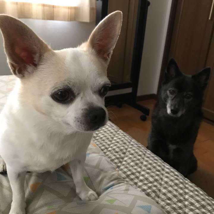 774e46fa 8346 4571 9203 2199be715b62