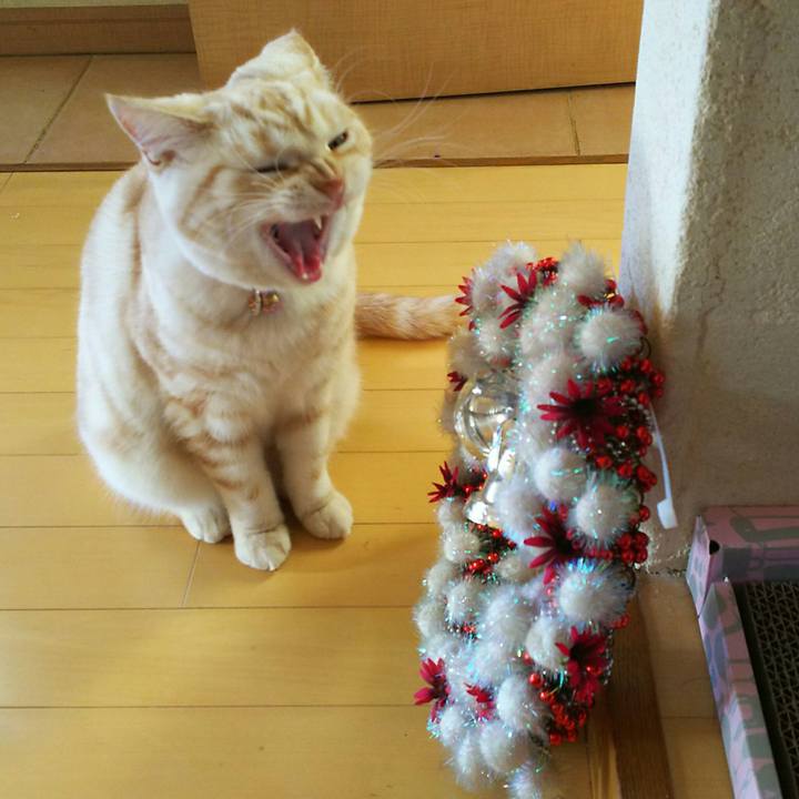 774f5522 4d95 4e85 9258 275d23258f28