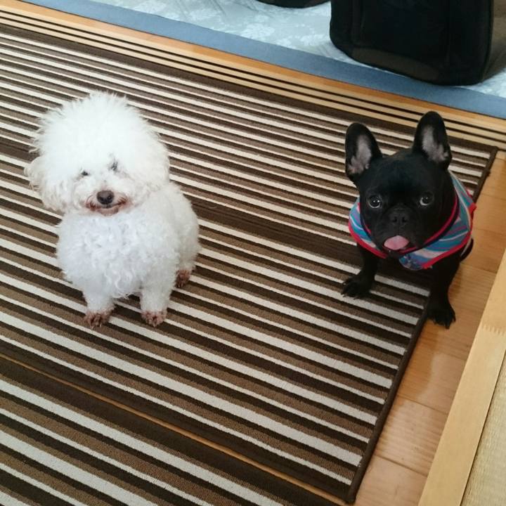 774fad6a 9b3a 4478 96a7 dc90aee2a361