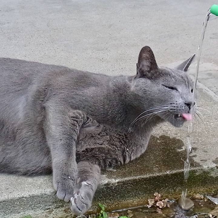 774fbc79 b4c3 4677 acd1 bc16e7a9bfe3