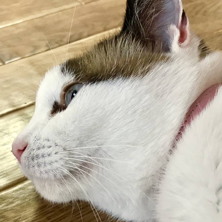 775050e9 1d92 4bec aa80 5ef6a63403ce