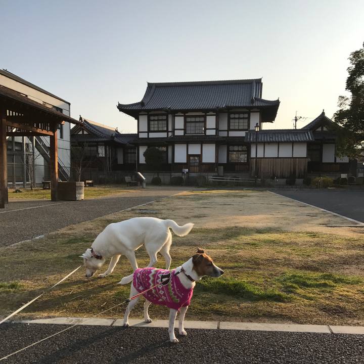 77510f6b d527 484d 8f31 89ccdb3e8a7d