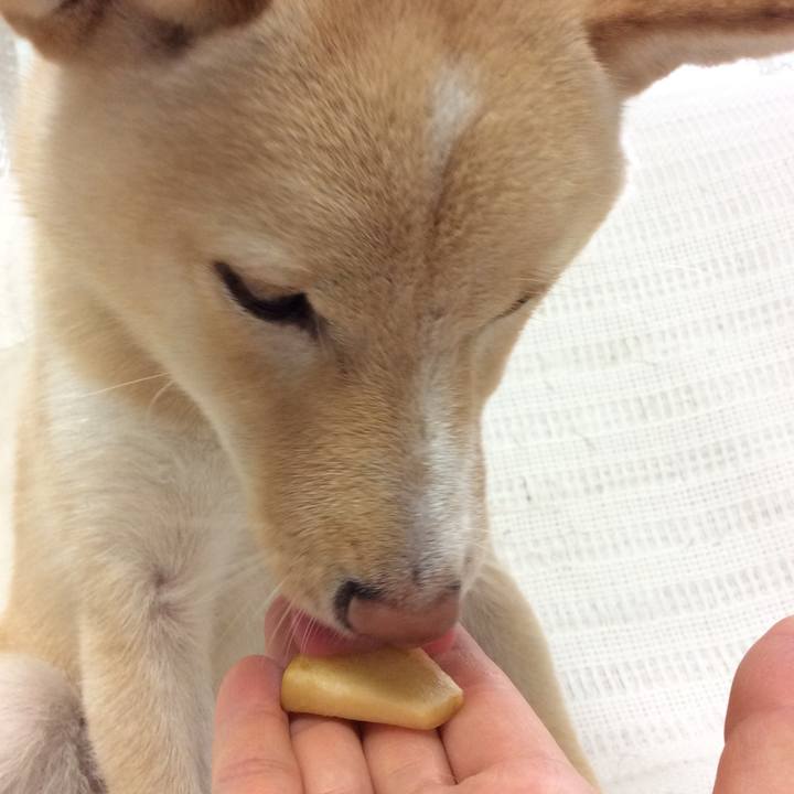 7751801d 2f45 4d2c 9f74 ff48fdf19f3e