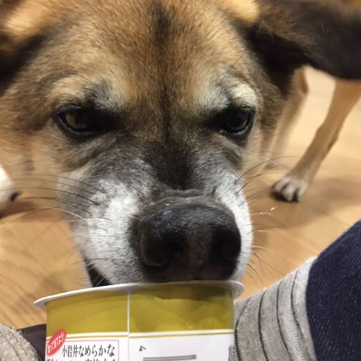 7751a0ad 0382 4b99 a516 ab874348b666