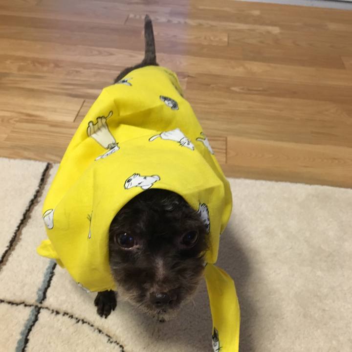 7751a710 92ad 4013 8155 2dc9260756a6