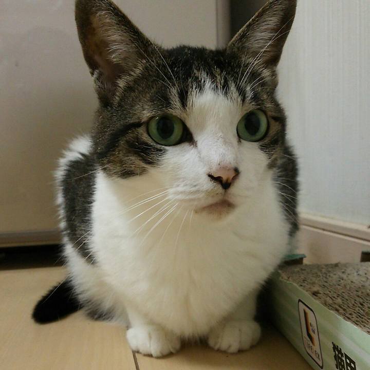 77520ee7 8573 4f92 a609 f7978b769be3