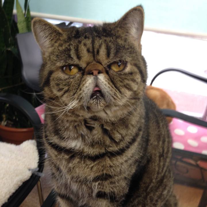 7752bc7c 74b6 46de ae10 bd09e76f1250