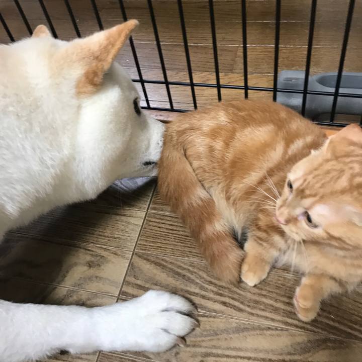 7752ce47 316b 455e 989e 68ed2d30de39