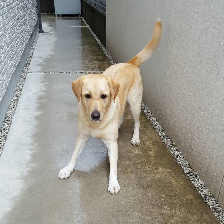 7752e417 756f 4b4f 8493 8c34c51d9dd0