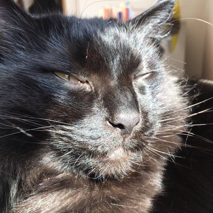 7753d6fa 0dfb 4338 90d8 96bb3d559834