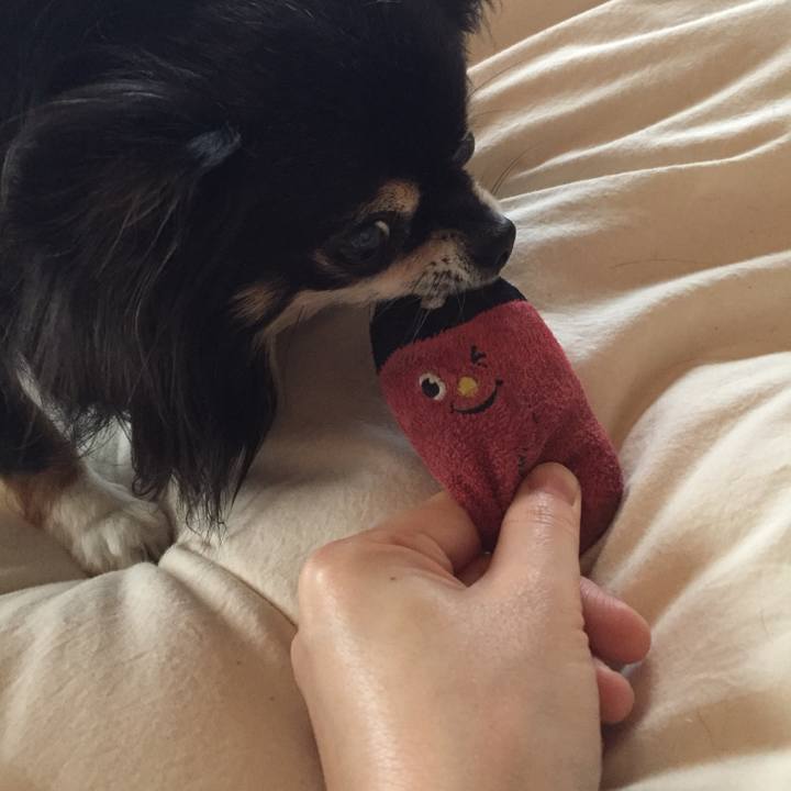 775455d1 7829 4f2a ac83 8861a50a9d92