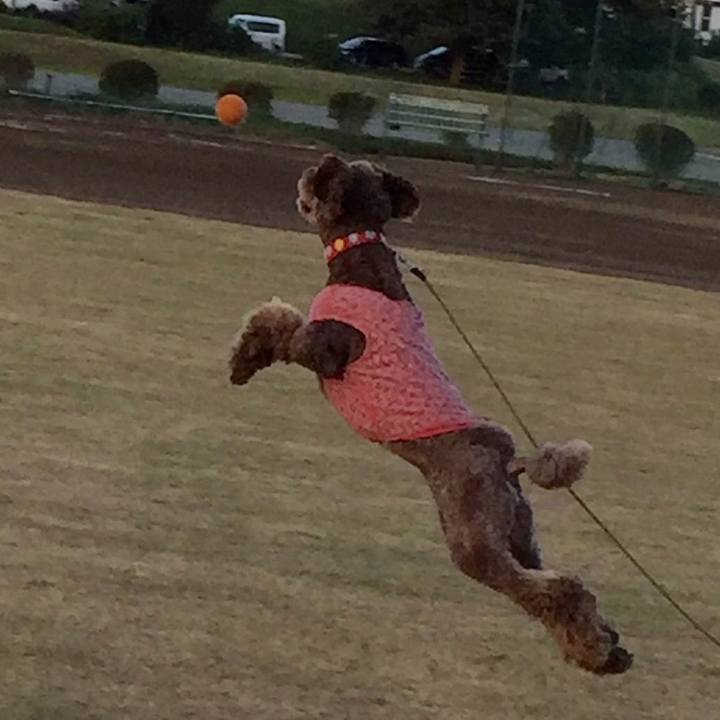 7754c7c1 957f 49ab b23d 21cfe59435d7