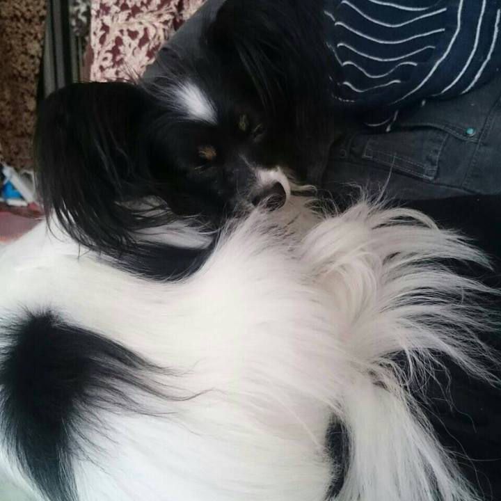 775586fb f101 4486 b704 3b9720c2ee26