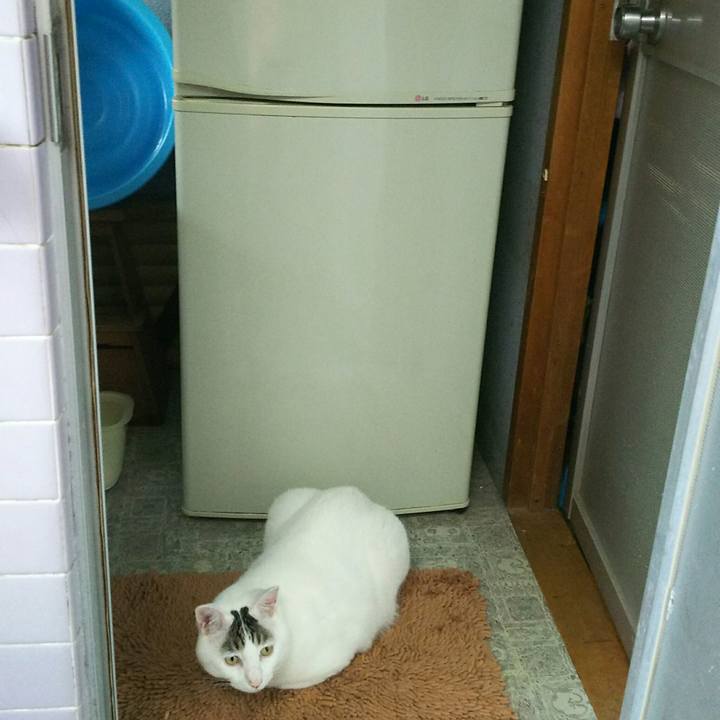 77558d67 2fb2 4d95 8501 0d6bd3f55c26