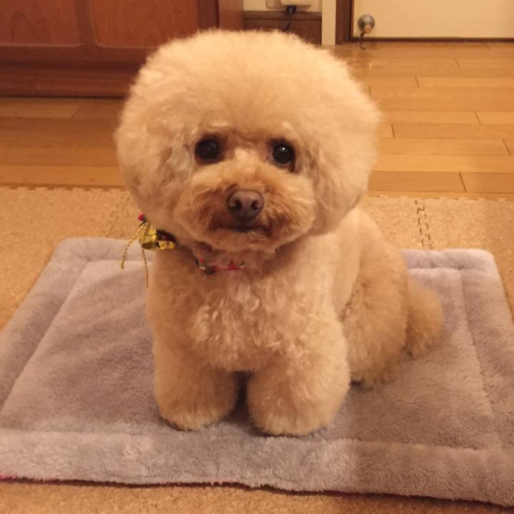 77572e09 c3a9 40d8 803f e20d382168ea