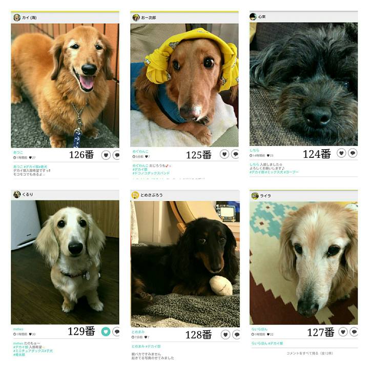 77575a9d e9a4 4fbb b408 764d936331f6