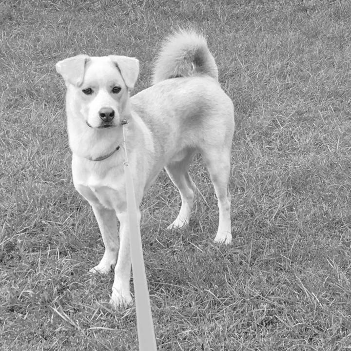 77576fe0 2489 471b a512 af72a4ef0991