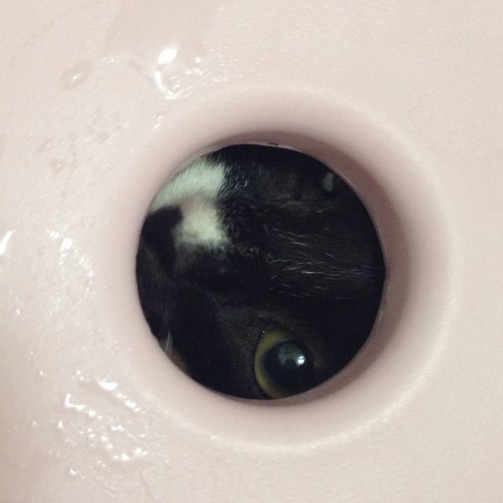 77579297 92ff 4b45 afb3 6370a12c2050