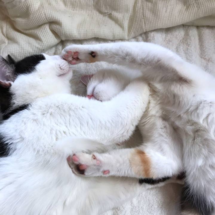 7757e4ed 915a 4471 8735 76cf795036f1