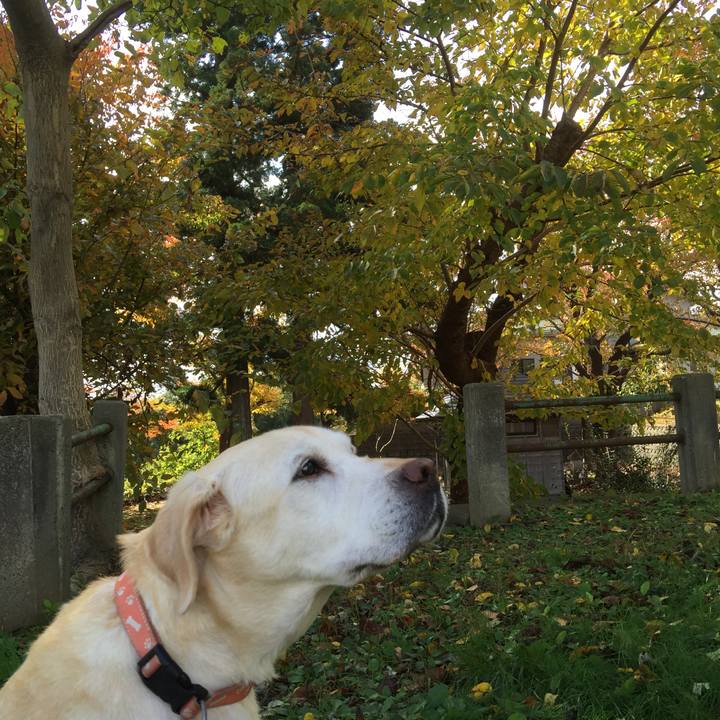 77582670 b248 4765 a217 6e129c1a3d30