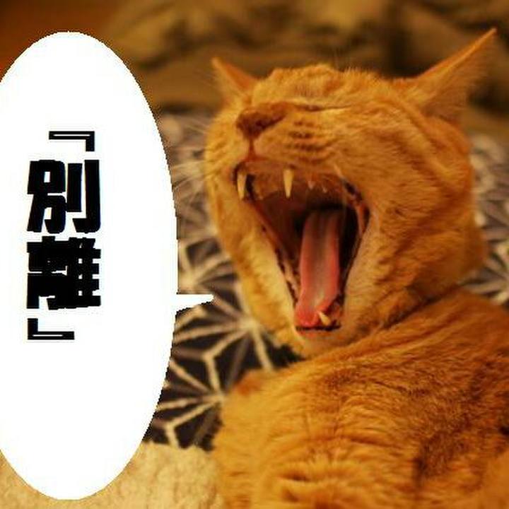 7758f25d 6edd 4aa4 ad27 af4101cd124a