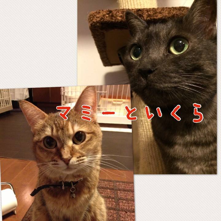 775994dc 3ff1 4ba3 9862 4d71d4b0e348