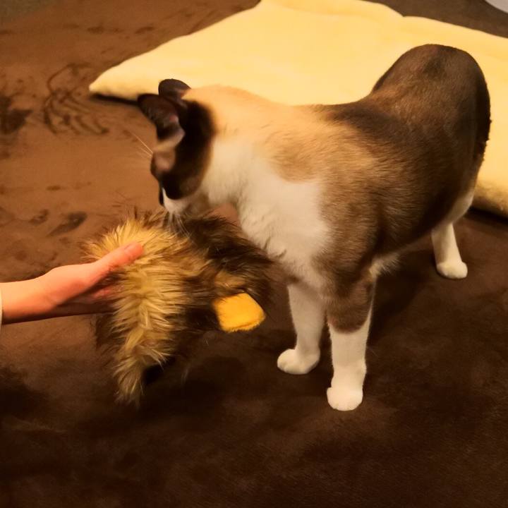 7759b397 1819 46be ad40 13e1995b1fbd