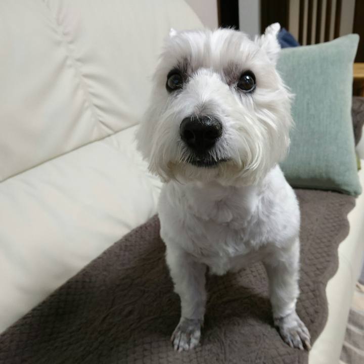 7759de34 fefb 40a0 a4e4 ff2399d9e2e1