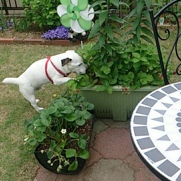 775a4e7b 804c 4442 af5e b792fe1b5088