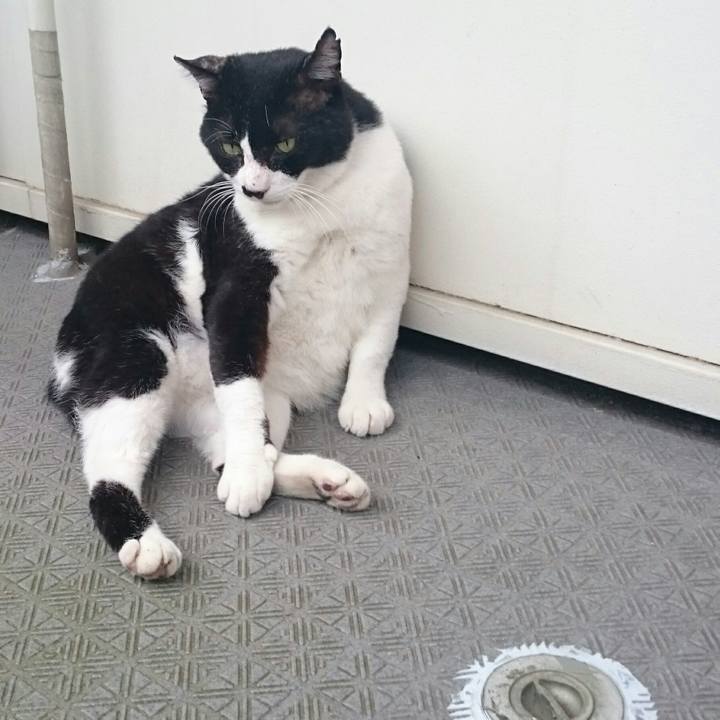 775ab646 433b 4279 866c 1fbbcb0c2518