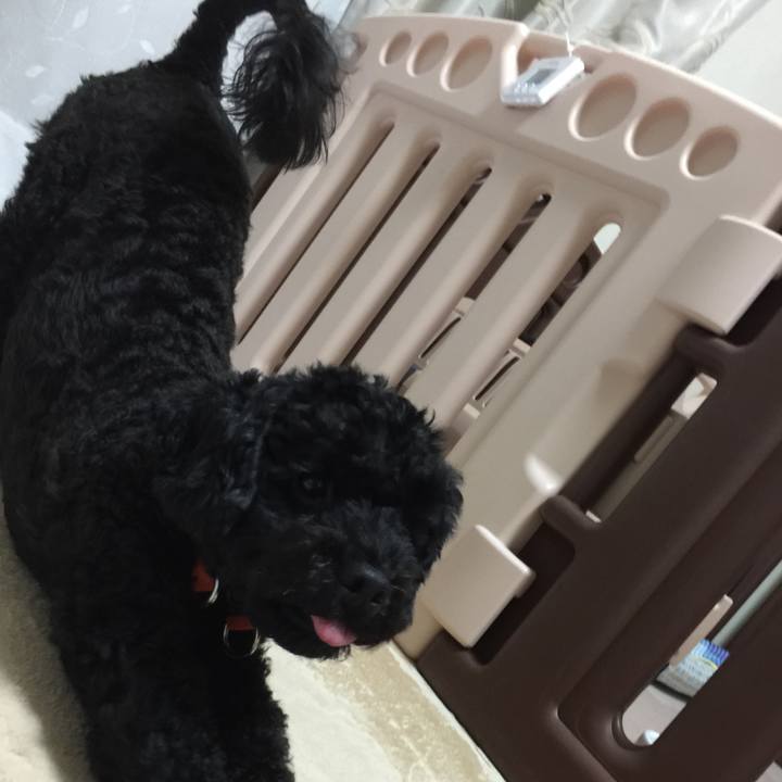 775adfcb 7ac9 4e02 827d 0baeb0b58e64