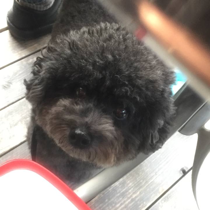 775bbbbf b7b7 491f 9b43 d0cb13c82967