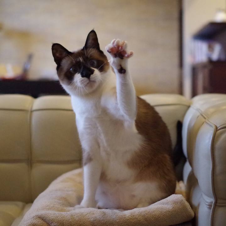 775c824e f926 48f6 b002 ae209656c6a0