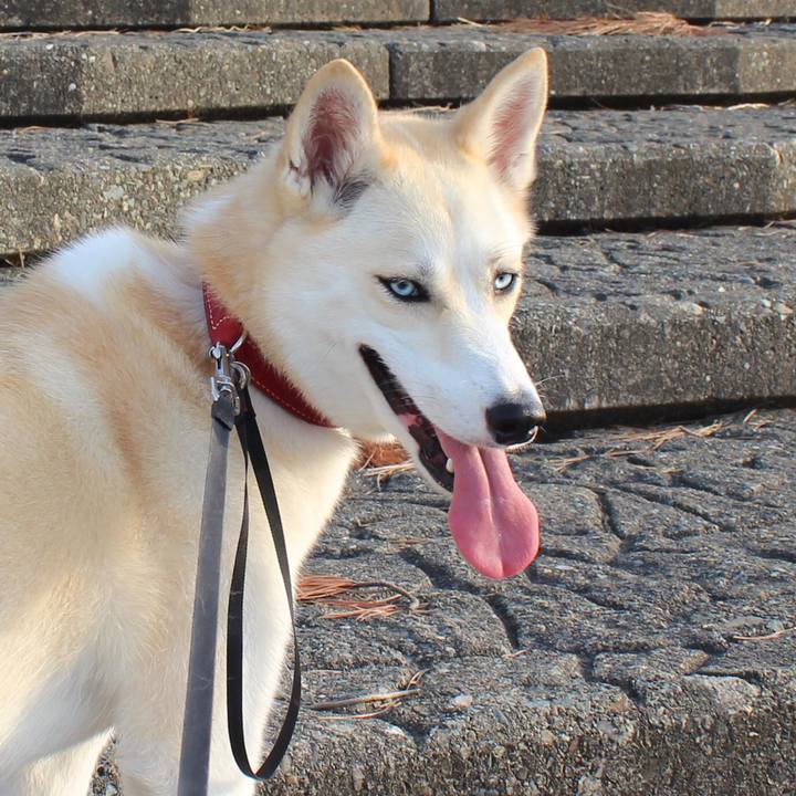 775d0d05 d50c 44a5 9326 64cba211be96